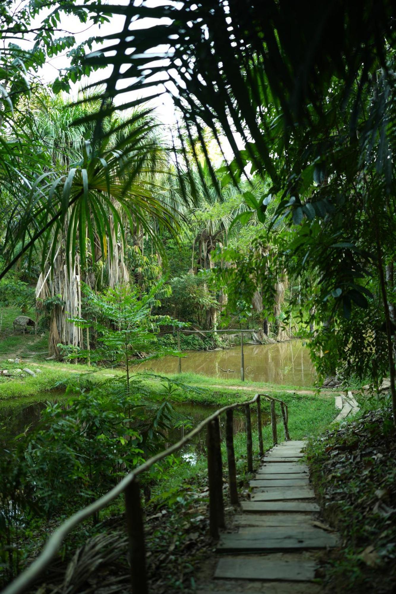 Awaken Amazonian Healing Resort All Inclusive Iquitos Extérieur photo